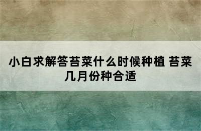 小白求解答苔菜什么时候种植 苔菜几月份种合适